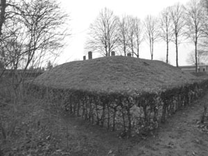 ab_tumulus_grevenbicht.jpg